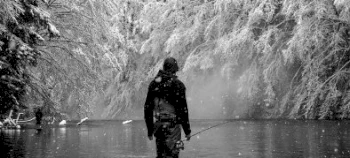 Чеснок на зимней рыбалке: как привлечь рыбу с его помощью?
