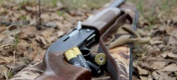 Незаконное изъятие охотничьего оружия: что нужно знать