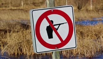 В РФ предложили запретить все виды охоты на время спецоперации повсеместно